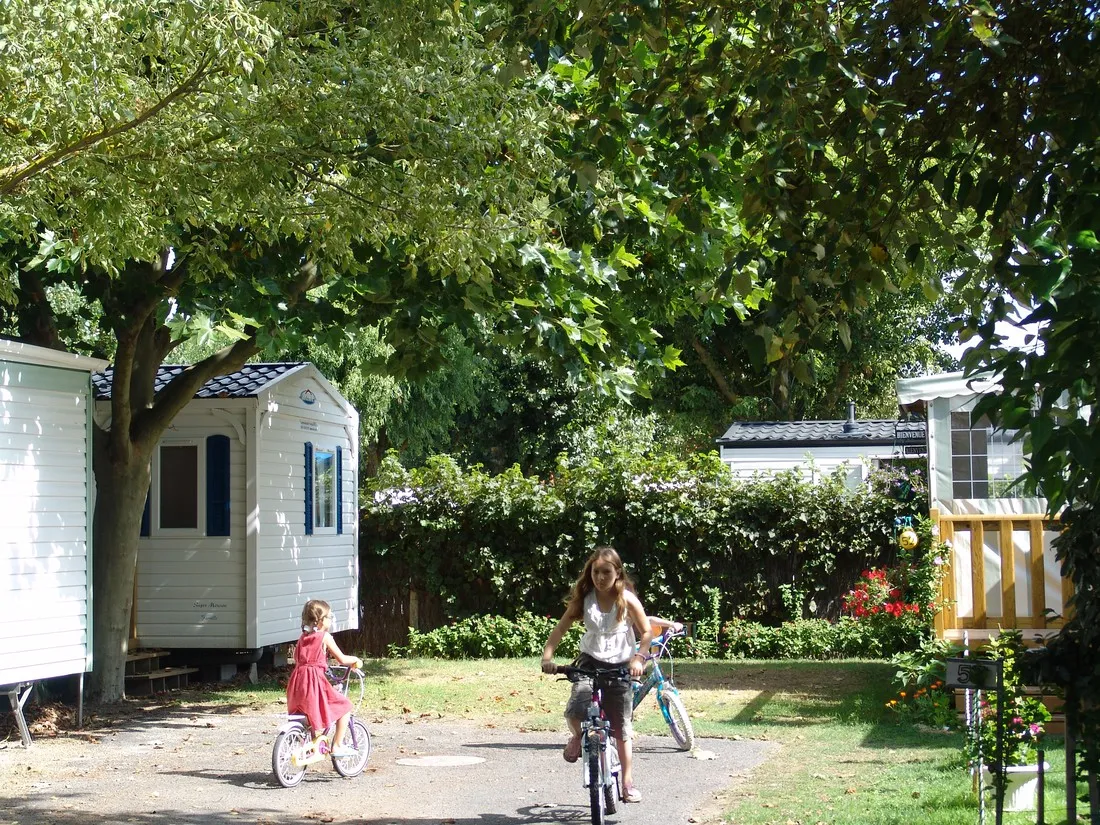 camping-le-bois-tordu-saint-hilaire-de-riez-xjxik