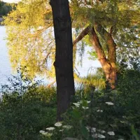 campingplatz-am-steggel-rathenow-rathenow-bei-brandenburg-vher1