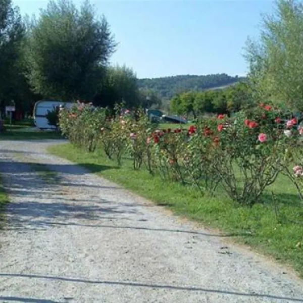 camping-la-grata-gradoli-nytm3