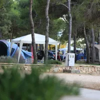 Camp Porat