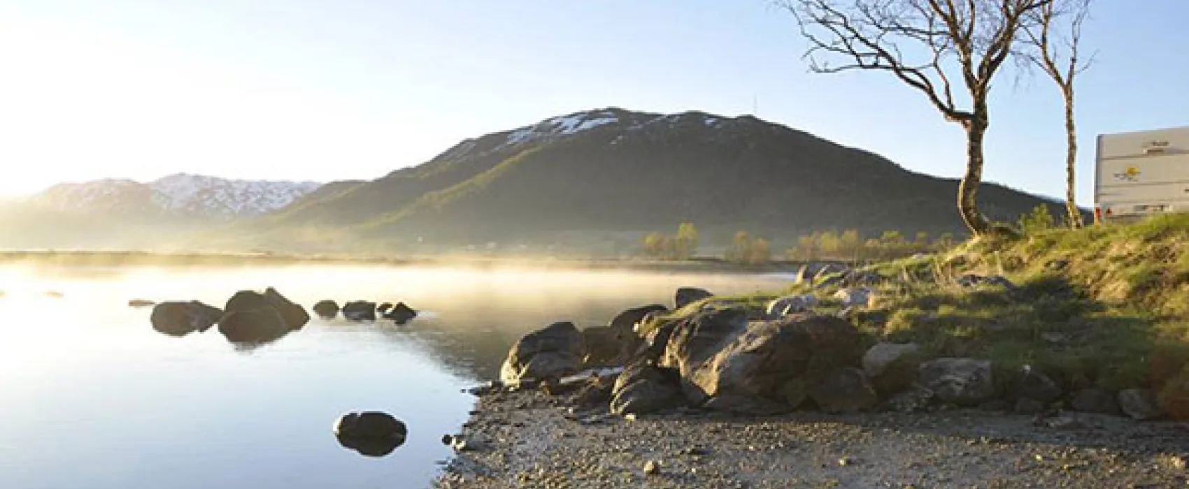Gullesfjord Camping