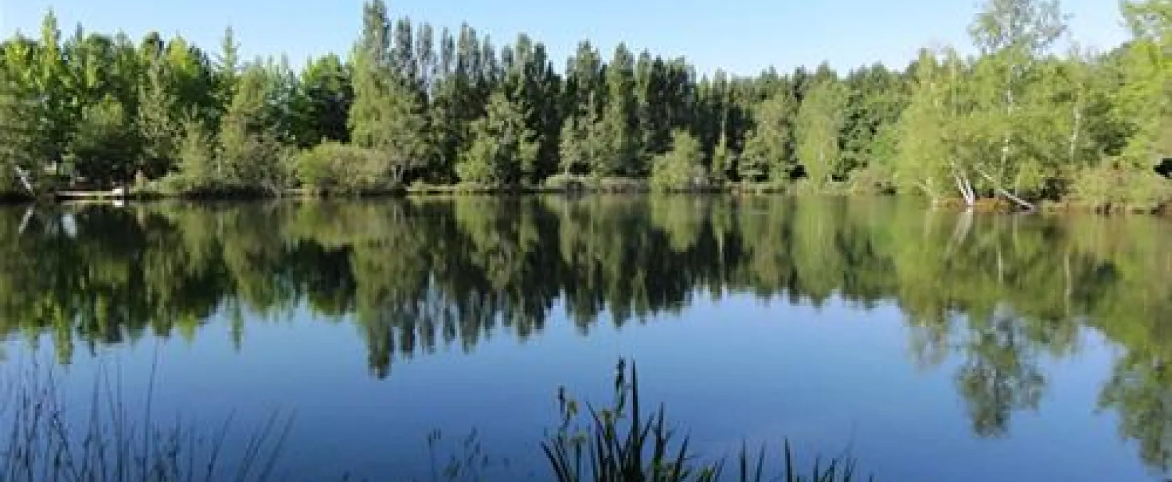 Camping La Grande Sologne  