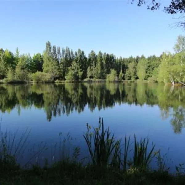 camping-la-grande-sologne--nouanlefuzelier-zt6tq
