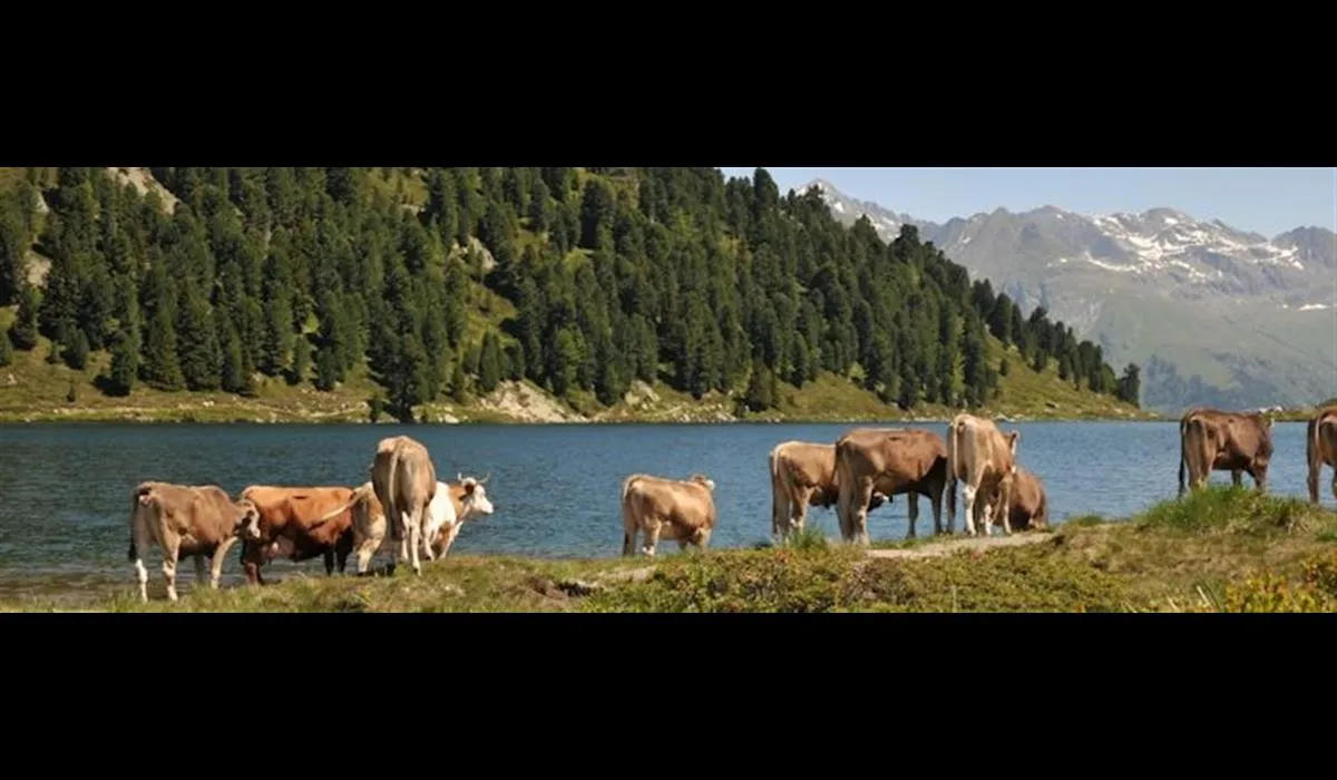 camping-gajole-arsie-oa1lc