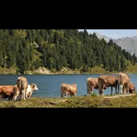 camping-gajole-arsie-oa1lc