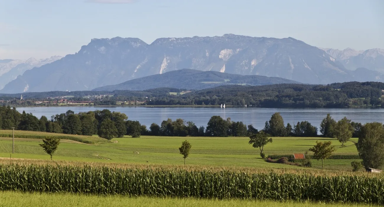 camping-schwanenplatz-waging--gaden-yegu9