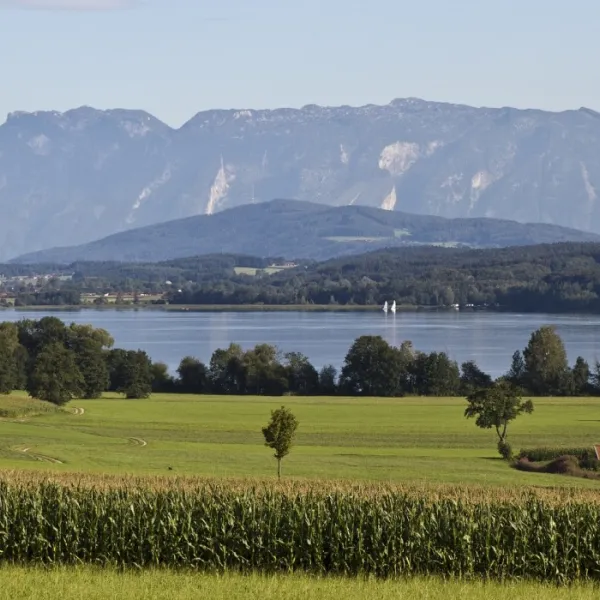 camping-schwanenplatz-waging--gaden-yegu9