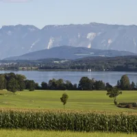 camping-schwanenplatz-waging--gaden-yegu9