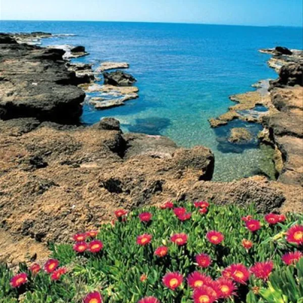 camping-costa-splendente-sul-mare-isola-di-capo-rizzuto-ab2st