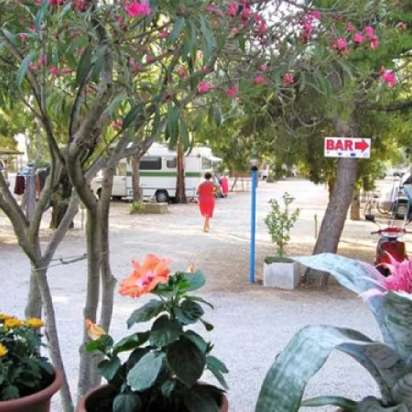 camping-costa-splendente-sul-mare-isola-di-capo-rizzuto-dshg7