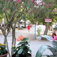 camping-costa-splendente-sul-mare-isola-di-capo-rizzuto-dshg7