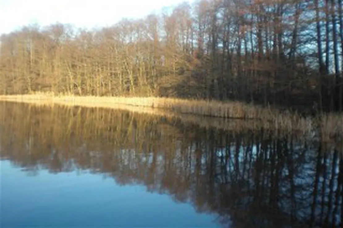 marchencampingplatz-zesch-zossen-ot-zesch-am-see-wnycf
