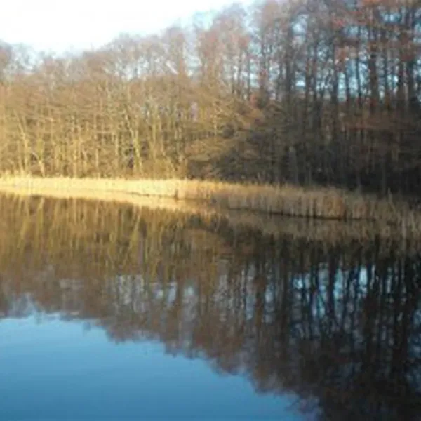 marchencampingplatz-zesch-zossen-ot-zesch-am-see-wnycf