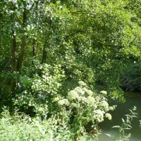 camping-paris-beau-village-villiers-sur-orge-whcec