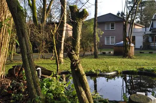 puur-lage-vuursche-lage-vuursche-9mrt9