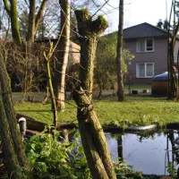 puur-lage-vuursche-lage-vuursche-9mrt9