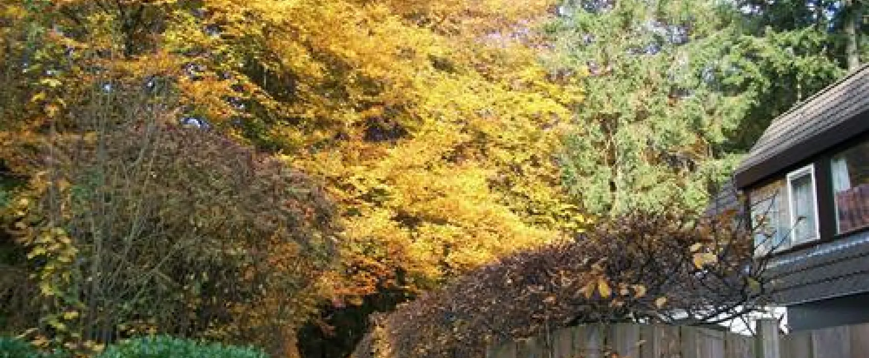 PUUR Lage Vuursche