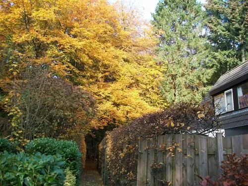 puur-lage-vuursche-lage-vuursche-bykgv