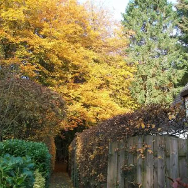 puur-lage-vuursche-lage-vuursche-bykgv