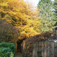 puur-lage-vuursche-lage-vuursche-bykgv