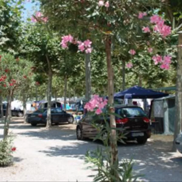 camping-riu-sant-pere-pescador-ektjy