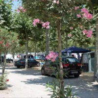 camping-riu-sant-pere-pescador-ektjy