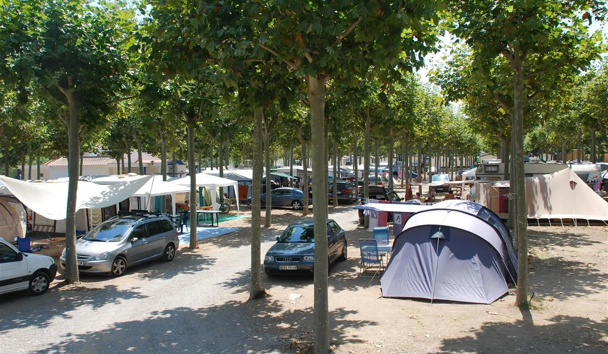 camping-riu-sant-pere-pescador-vegjz