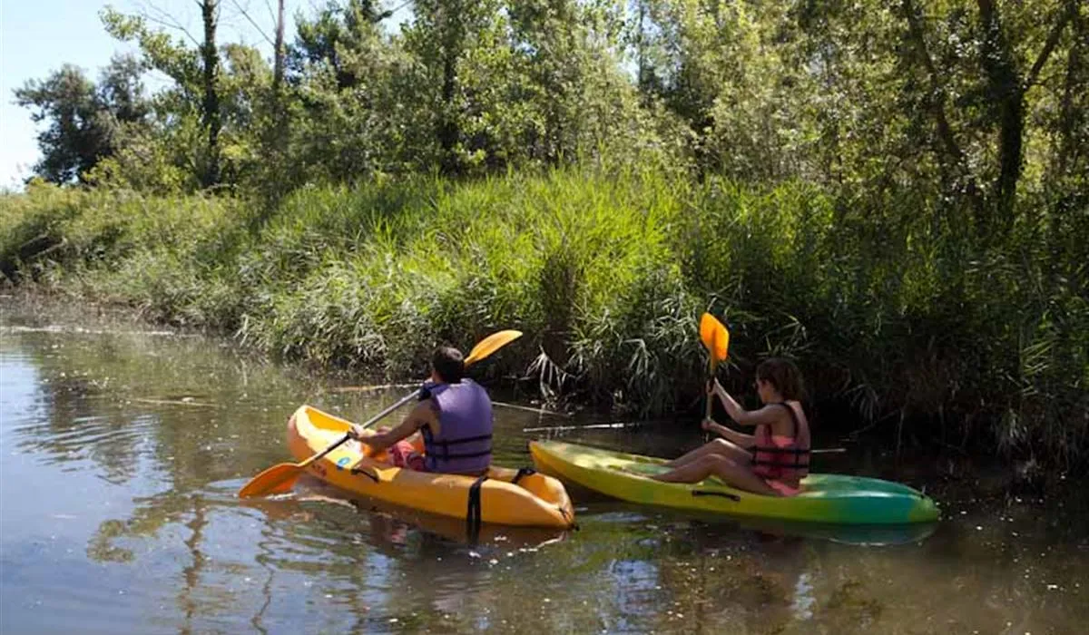 camping-riu-sant-pere-pescador-ycpzy
