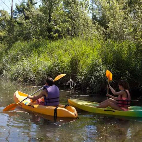 camping-riu-sant-pere-pescador-ycpzy