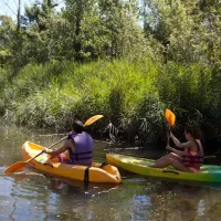 camping-riu-sant-pere-pescador-ycpzy