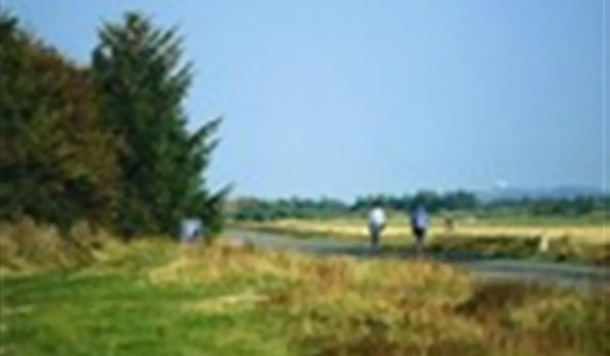 bunken-strand-camping-lbk-omn7w