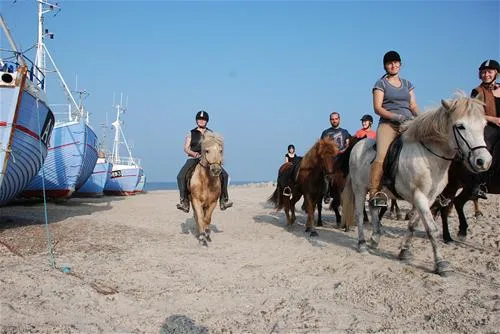 hanstholm-camping--thy-feriepark-hanstholm-kvqyz
