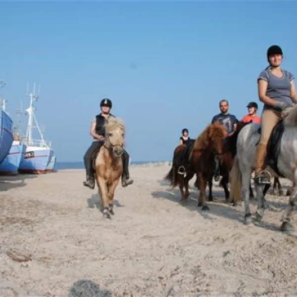 hanstholm-camping--thy-feriepark-hanstholm-kvqyz
