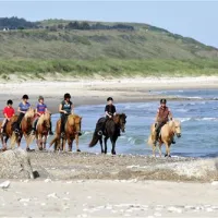 hanstholm-camping--thy-feriepark-hanstholm-p7meu