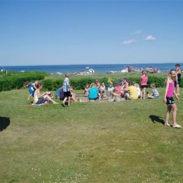 vejlby-fed-strand-camping-middelfart-zaaum