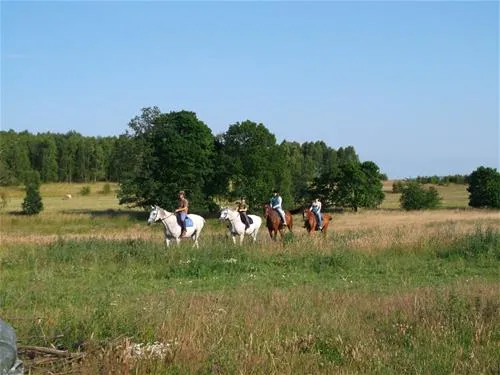 baza-pod-lasem-smodzino-qu7oy