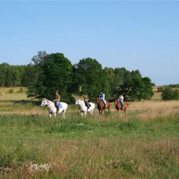 baza-pod-lasem-smodzino-qu7oy
