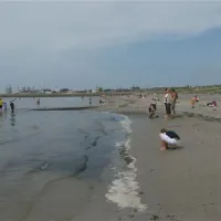 recreatie-de-zeehoeve-harlingen-zaeys