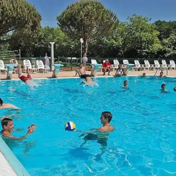 camping-la-bretche-vende-xldsp
