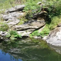 camping-tizzarella-moltifao-2idrl