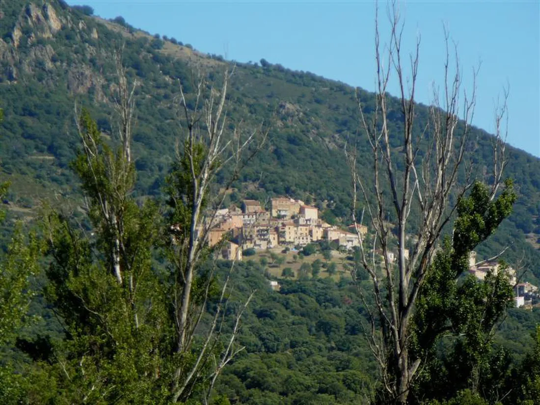 camping-tizzarella-moltifao-ci3lg