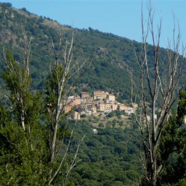 camping-tizzarella-moltifao-ci3lg