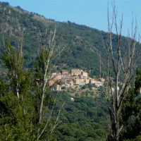 camping-tizzarella-moltifao-ci3lg