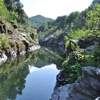 camping-tizzarella-moltifao-yjrv8