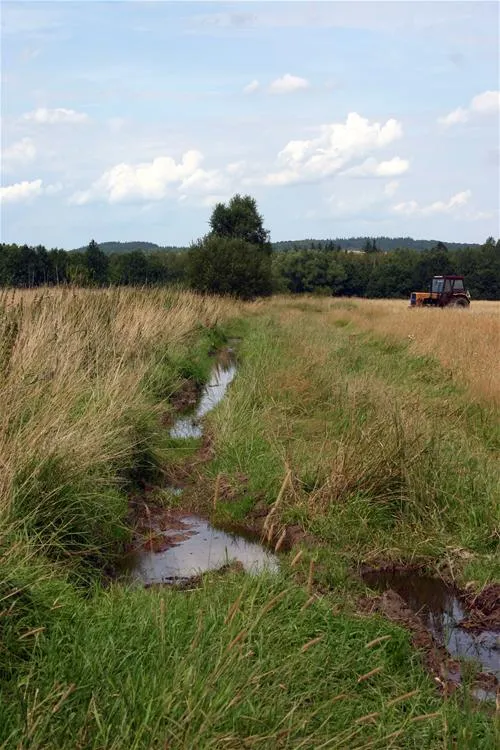 camping-mirsk-giebultow-mirsk-goeua