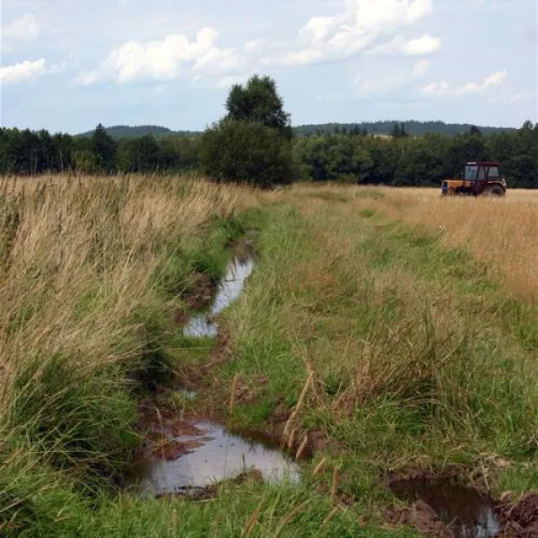 camping-mirsk-giebultow-mirsk-goeua