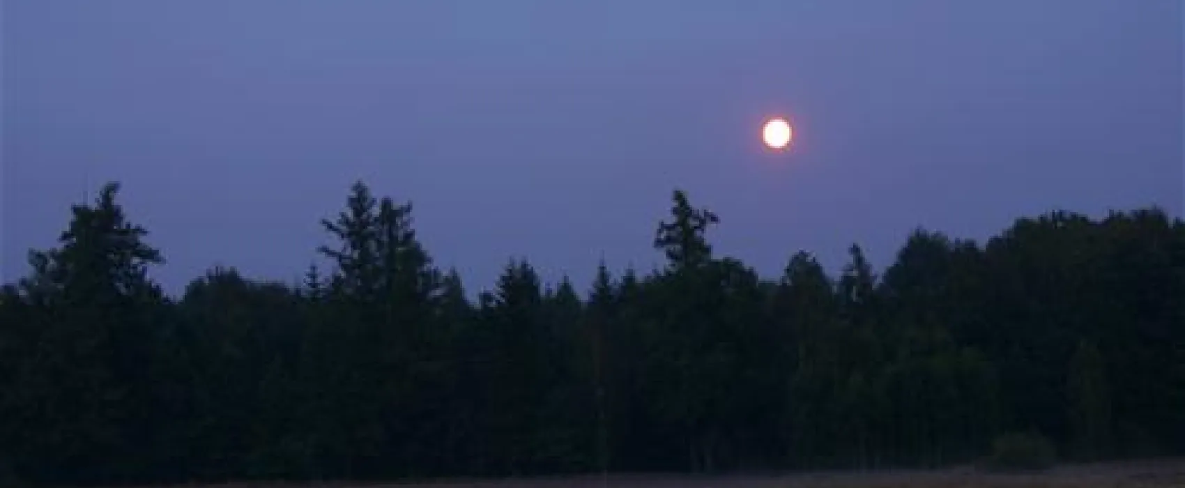 Camping Mirsk