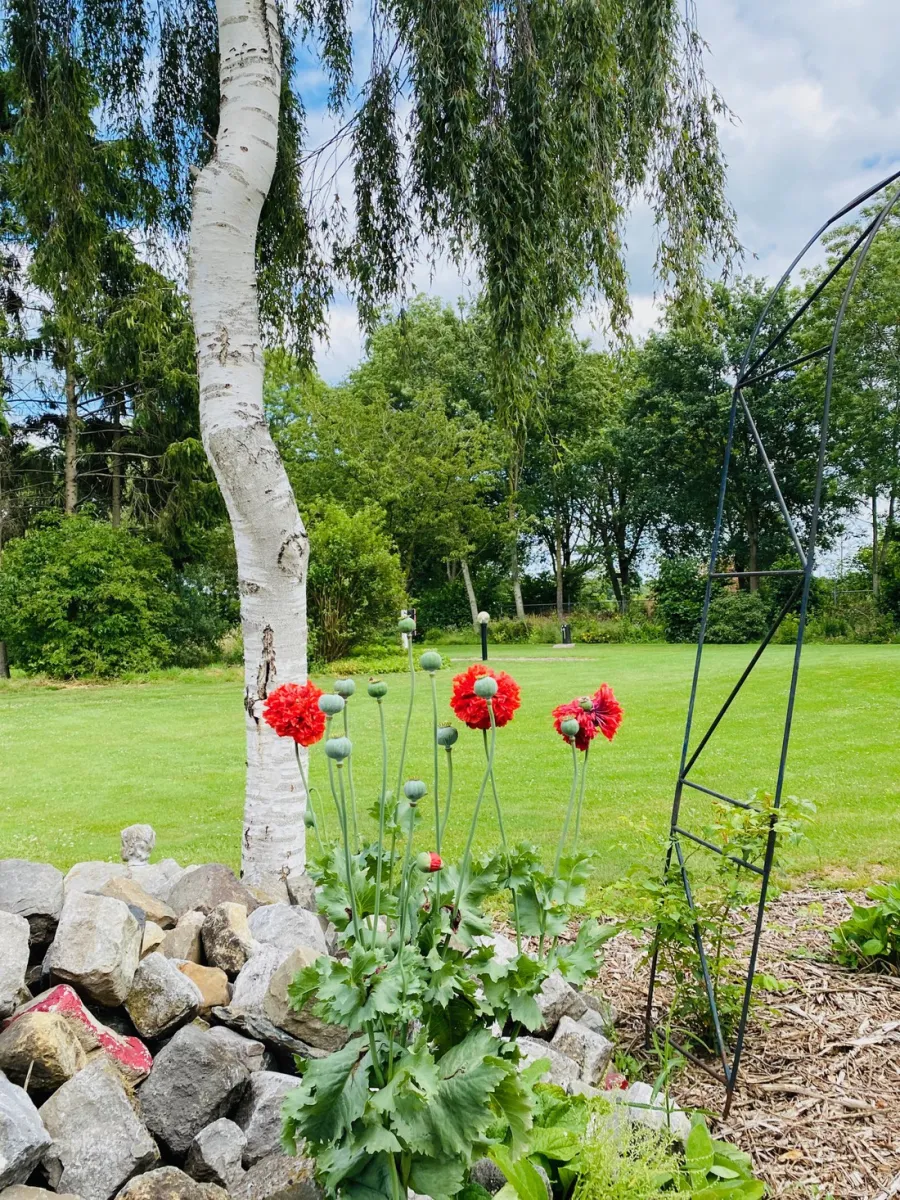 campingplatz-de-peelbloem-deurne-hasvk