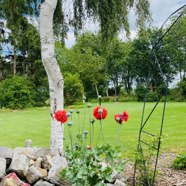 campingplatz-de-peelbloem-deurne-hasvk