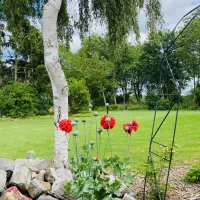 campingplatz-de-peelbloem-deurne-hasvk